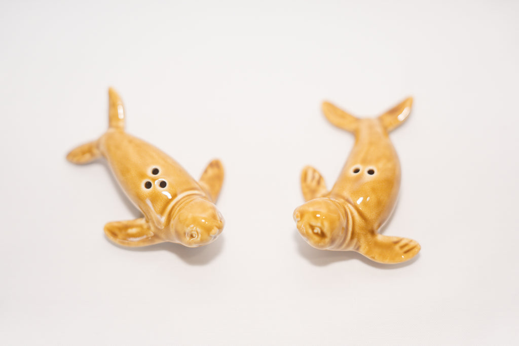 Stoneware Seal - Salt and pepper shakers - Reactive glaze
