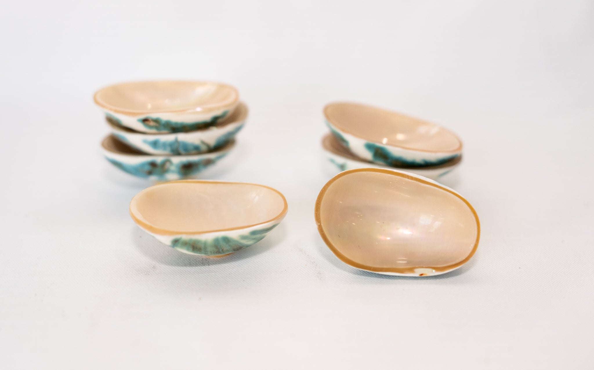 Footed Natural Shell Dish