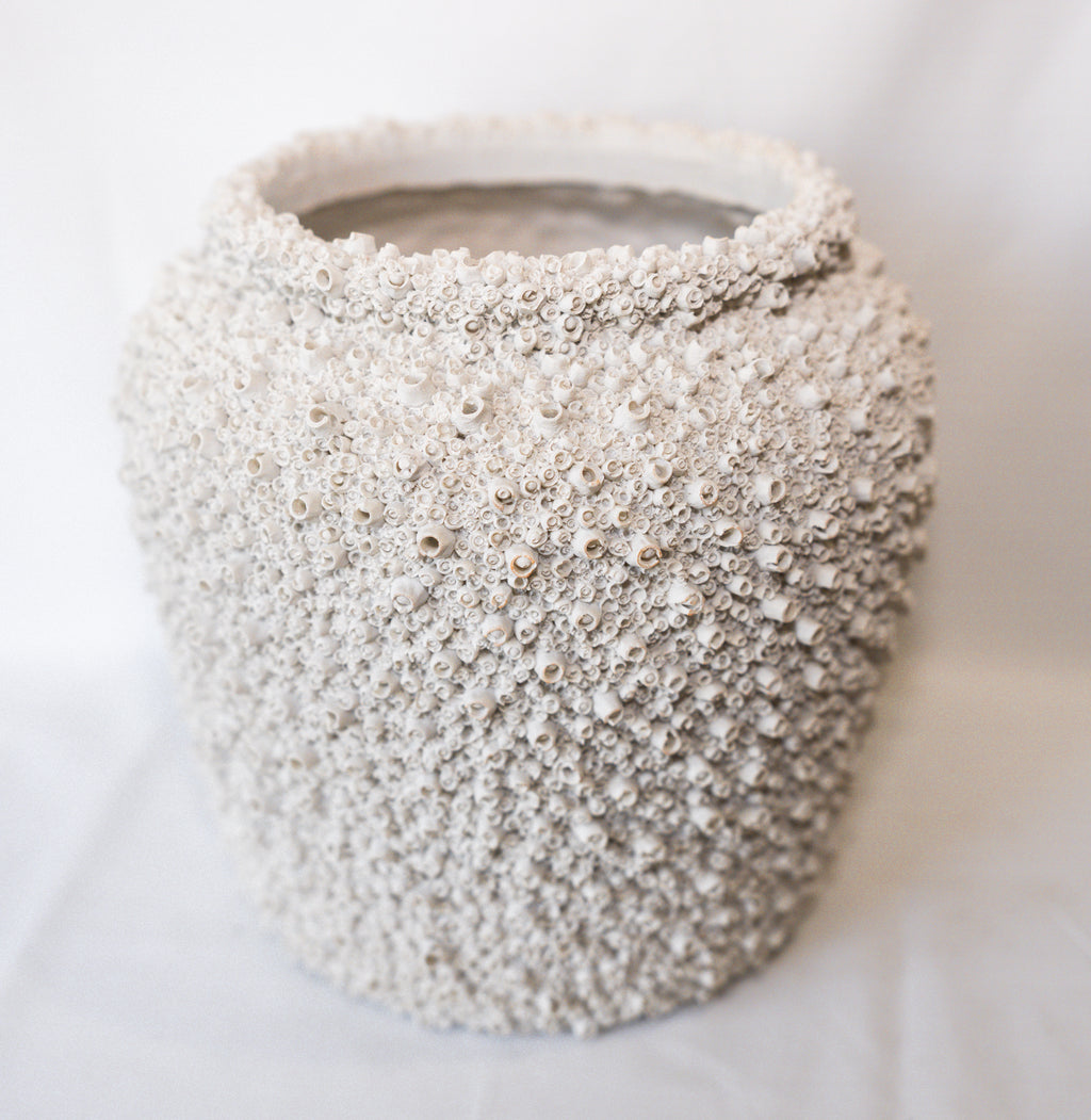 Barnacle Pot