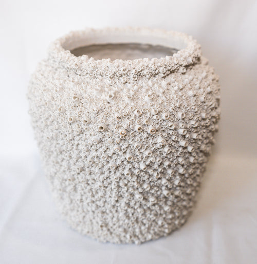 Barnacle Pot