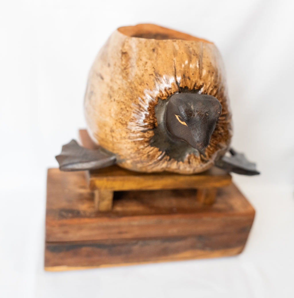 Coco Turtle Planter