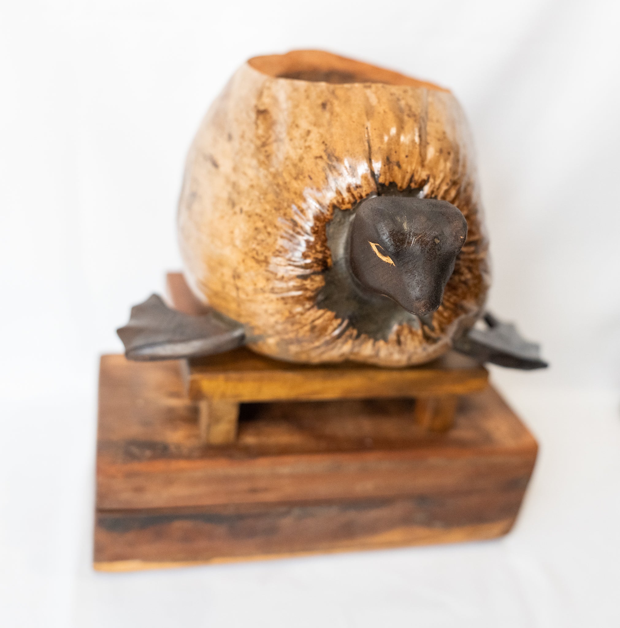 Coco Turtle Planter