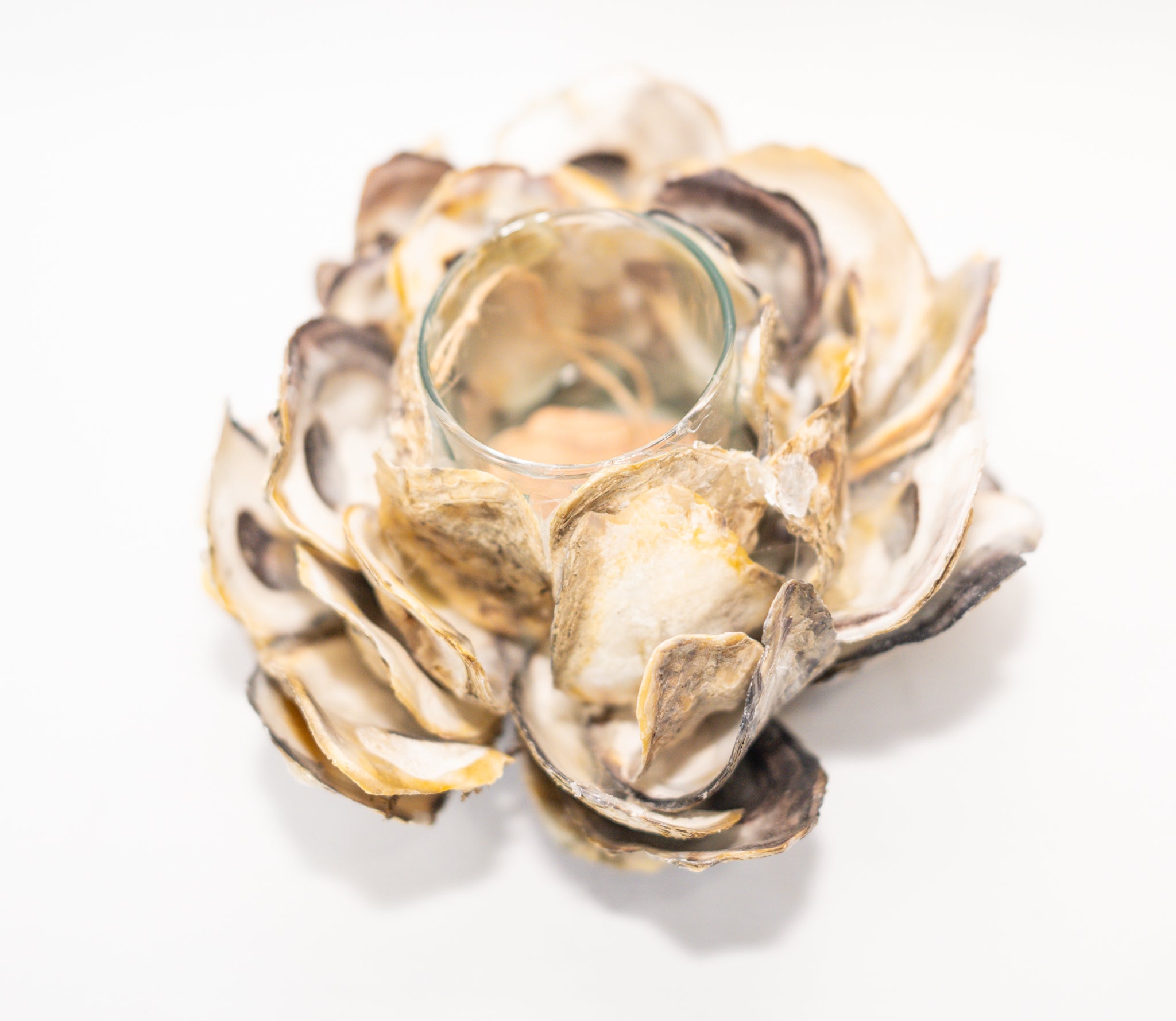 Oyster Shell Votive Holder