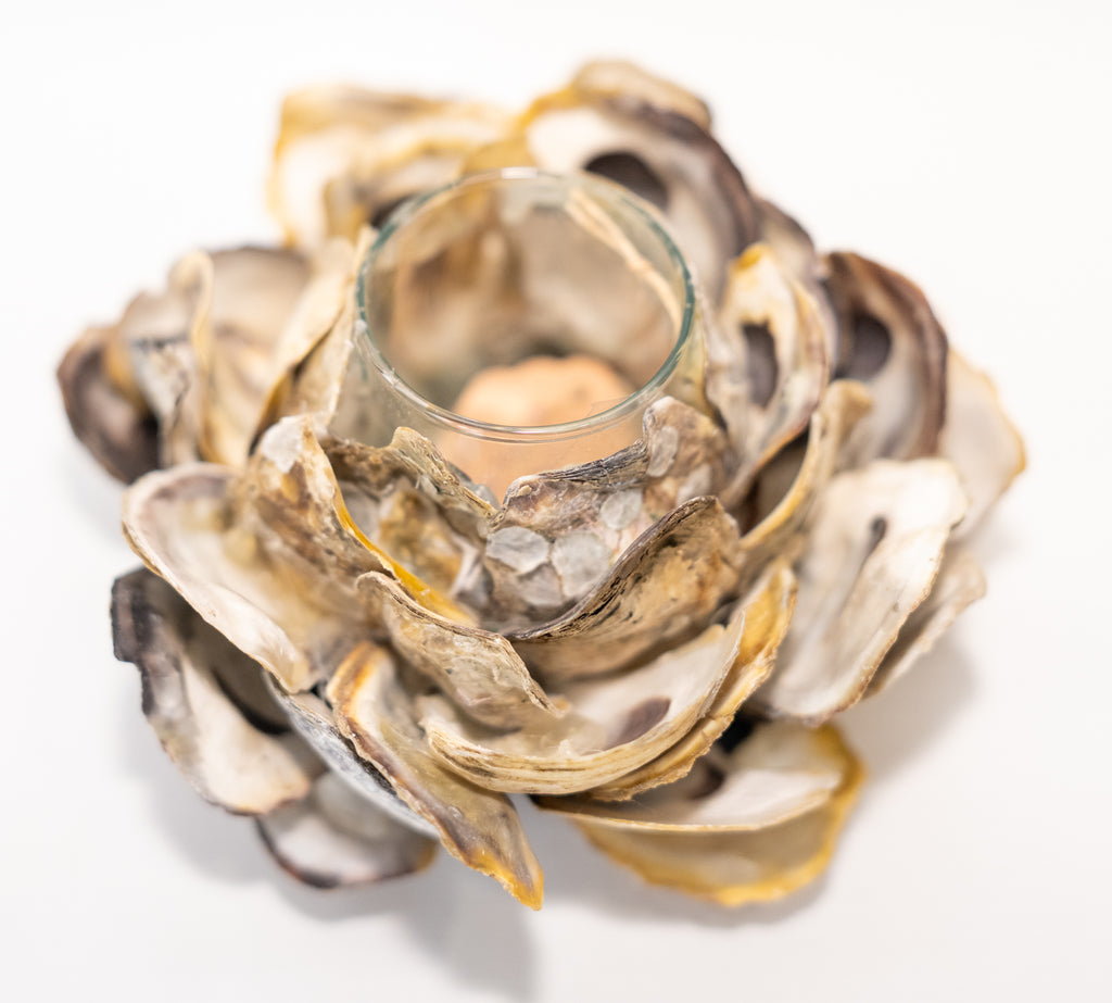 Oyster Shell Votive Holder