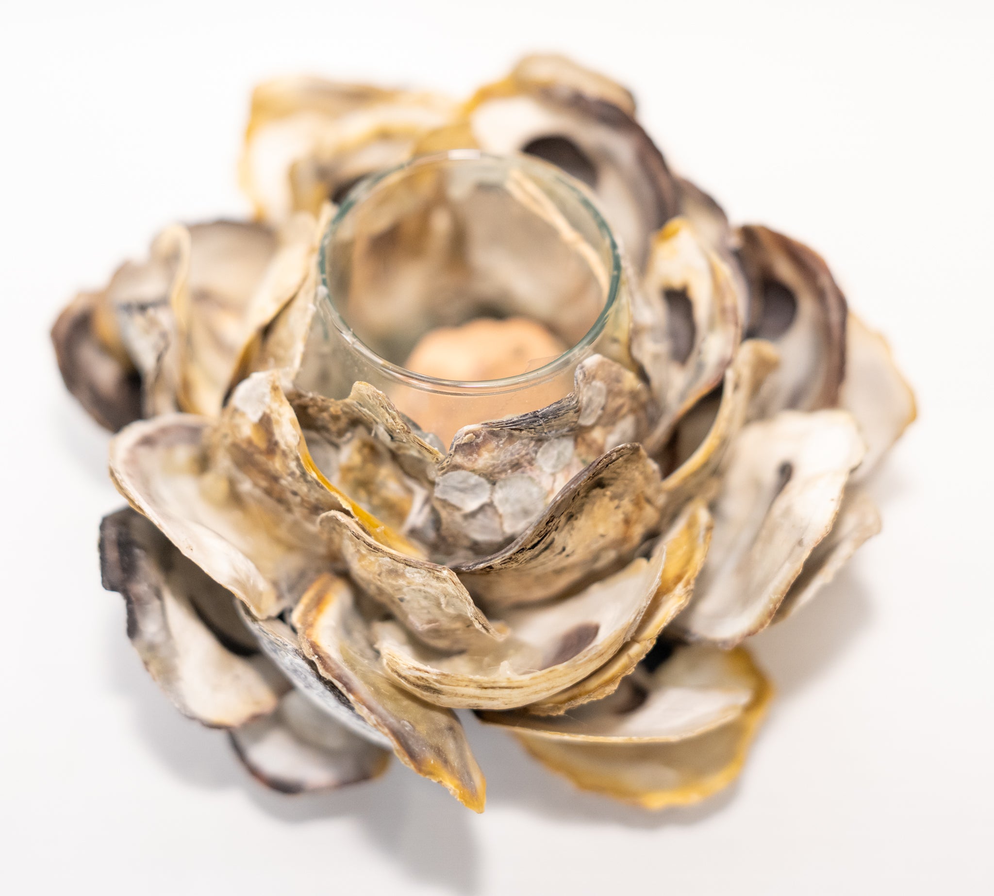 Oyster Shell Votive Holder