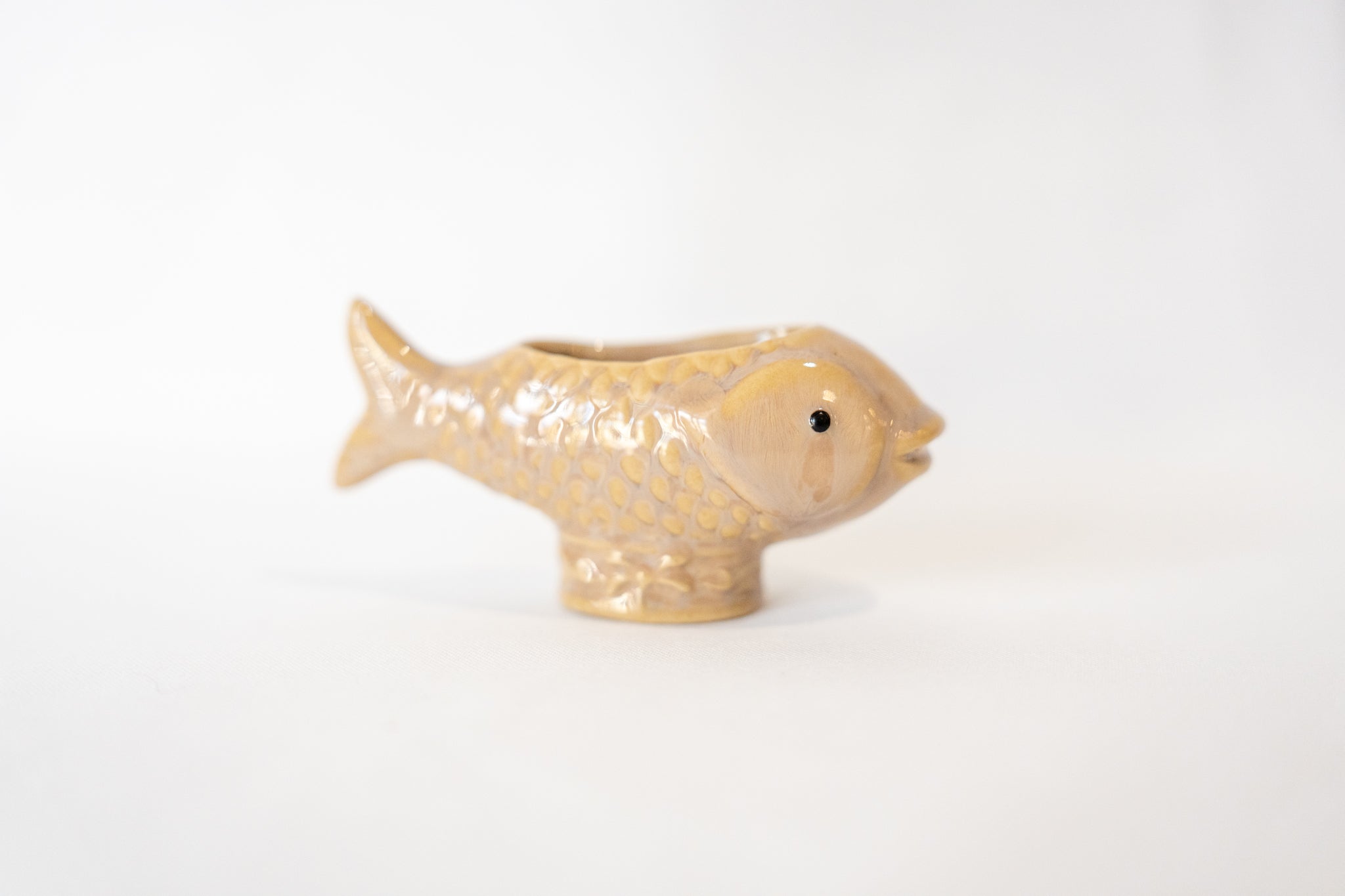 Ceramic Fish Shaped Container