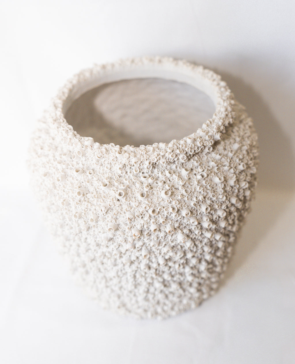 Barnacle Pot