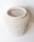 Barnacle Pot