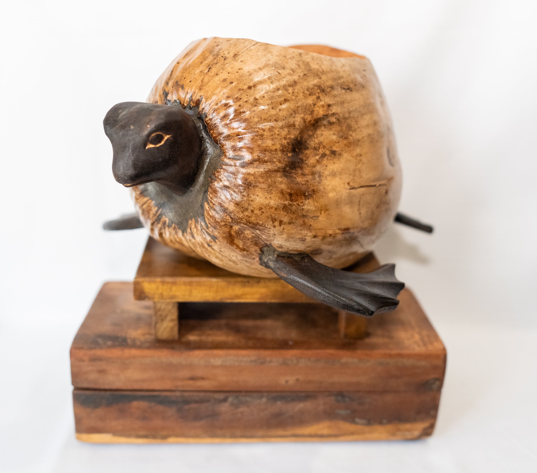 Coco Turtle Planter