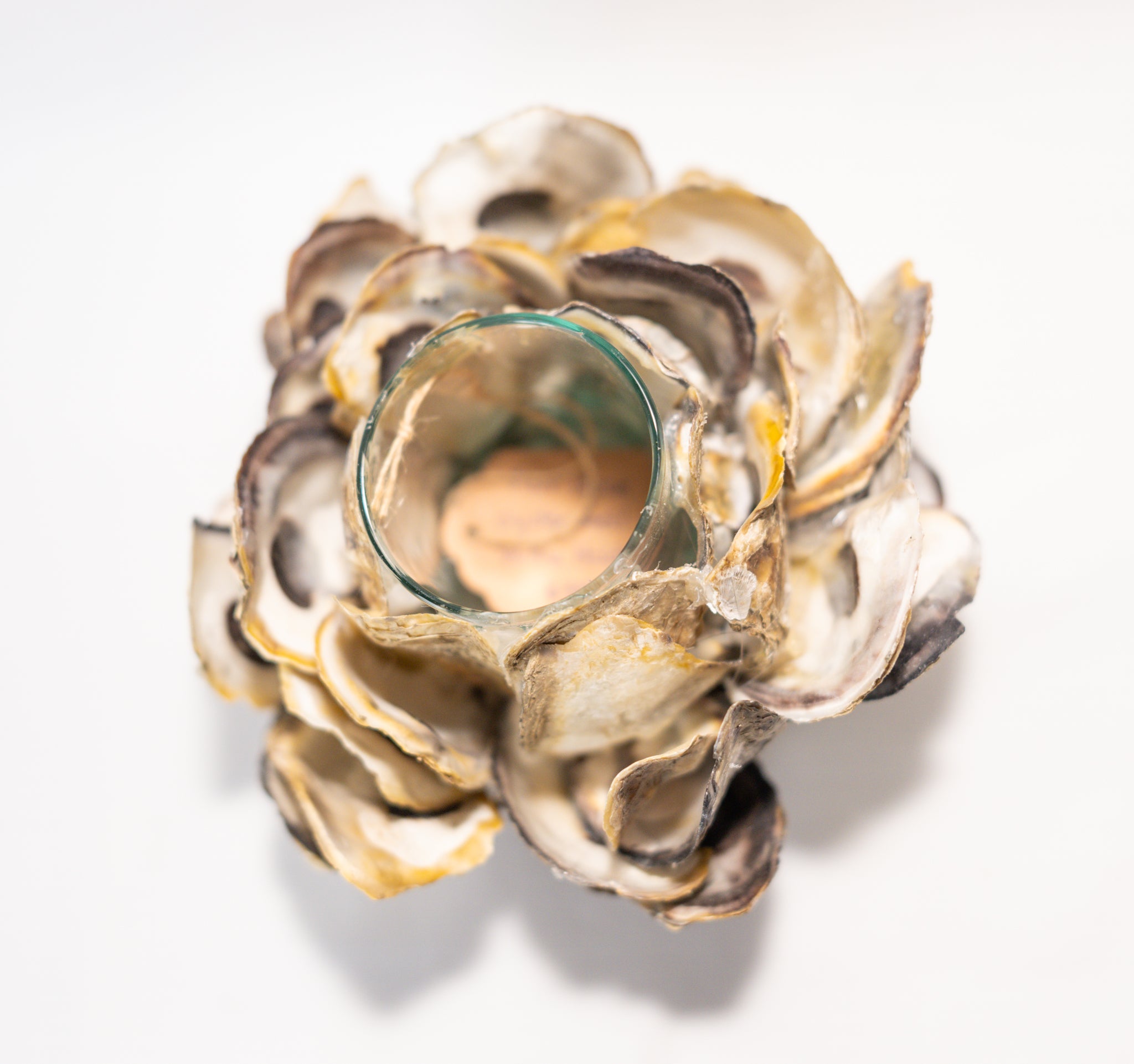 Oyster Shell Votive Holder